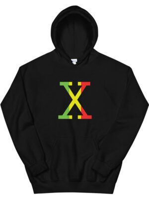 unisex-heavy-blend-hoodie-black-front-6025704b5c06d.jpg
